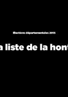  La liste de la honte des propos des candidats FN aux départementales 2015